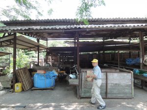 ハクビシン肉の全てをわかりやすく解説 ジビエ先生